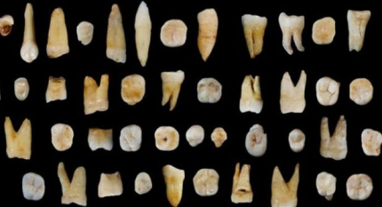 2015年10月15日：中科院在湖南道县发现迄今最早现代人类化石