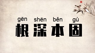 根深本固