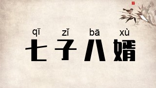 七子八婿