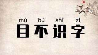 目不识字