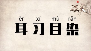 耳习目染