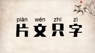 片文只字