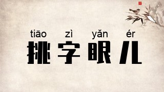 挑字眼儿