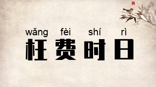 枉费时日