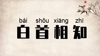 白首相知