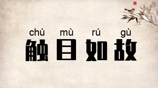 触目如故