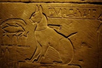 为什么古埃及人都崇拜猫