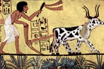 古埃及人为什么崇拜动物
