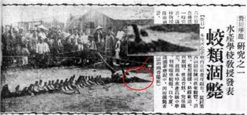 1934年辽宁营口坠龙事件是不是真的