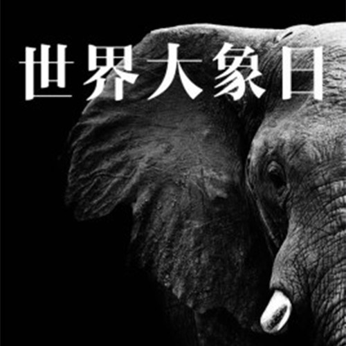 2012年8月12日：世界大象日