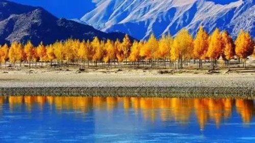 西藏的自然资源有多丰富