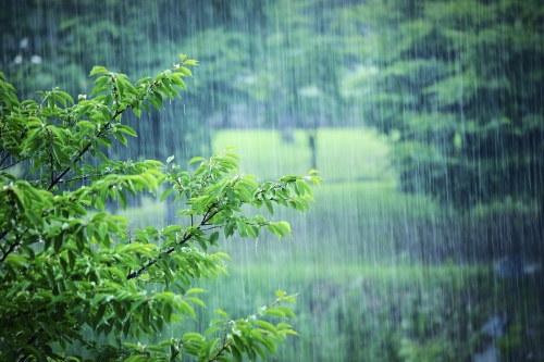 雨水时节的天气特点