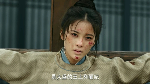 《长安诺》贺兰茗玉被俘萧承煦救她受伤