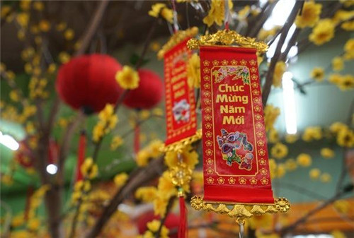 越南的春节是怎么样过的
