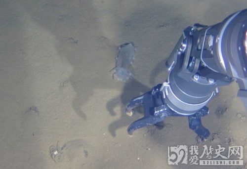 蛟龙号载人潜水器7000米级海试成功