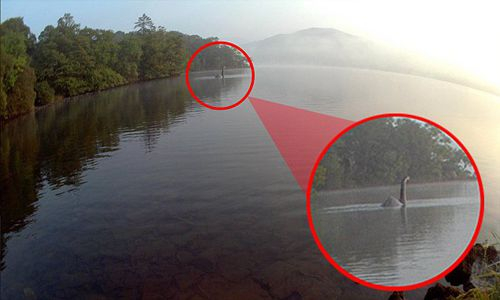 尼斯湖水怪存在的一些主要证据