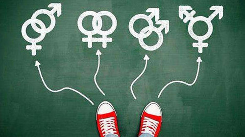 跨性别是什么意思