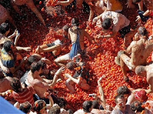 西班牙西红柿节介绍