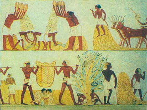 农耕文化的起源