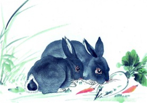 兔的生肖神话与民俗