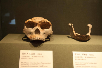 1964年11月3日：蓝田猿人头盖骨发现