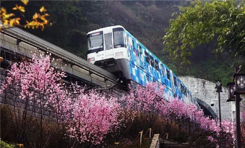 重庆开往春天的轻轨是哪一条