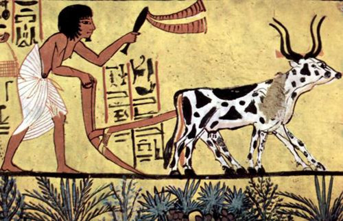 古埃及人为什么崇拜动物