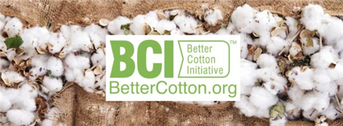 BCI为什么抵制新疆棉