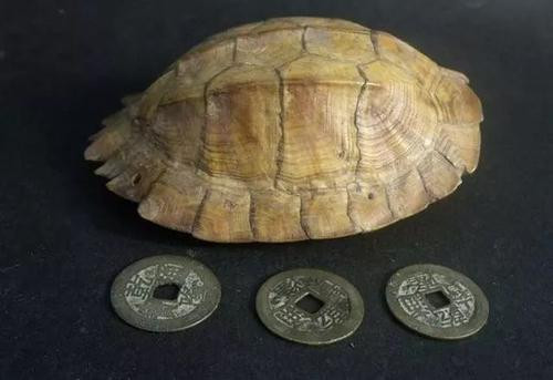古代用龟壳怎么算卦