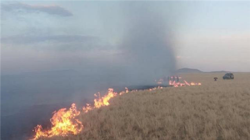 蒙古国草原为什么会发生大火