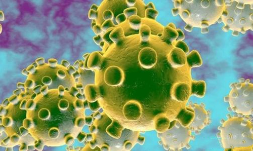 新冠病毒的弱点是什么